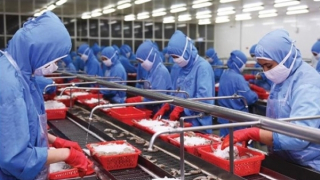 Xuất khẩu thủy sản đầu năm khởi sắc