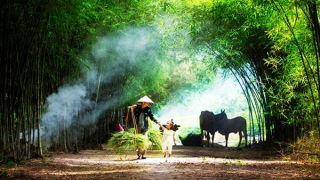 Hà Nội nắng đẹp vào ban ngày, đêm không khí lạnh tràn về, trời mưa nhỏ