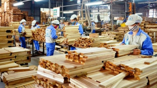 Nhiều doanh nghiệp đã có đơn hàng đến tháng 6/2024