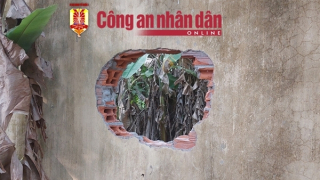 Đã có 94 học viên trốn trại cai nghiện ở Sóc Trăng trở lại cơ sở