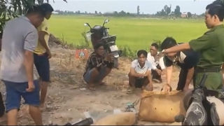 Tái diễn nạn bài bạc vùng biên