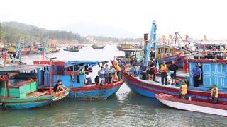 Cảnh báo khai thác hải sản bất hợp pháp ở Hà Tĩnh