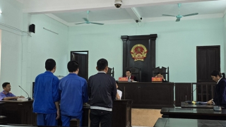 Các đối tượng môi giới mua bán thận với số tiền 2,6 tỷ đồng lãnh án