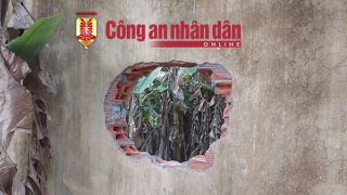 Phó Thủ tướng Trần Lưu Quang chỉ đạo xử lý vụ học viên cai nghiện bỏ trốn ở Sóc Trăng