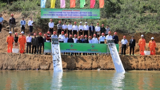 Thả 15.000 cá giống tái tạo môi trường hồ thủy điện A Vương và tạo sinh kế cho người dân