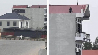 Đâm trọng thương vợ và mẹ vợ rồi bỏ trốn, nhảy lầu