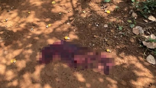 Mâu thuẫn đất đai, em vác dao chém trọng thương cả nhà anh ruột