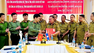 Phối hợp quốc tế trong đấu tranh phòng, chống tội phạm