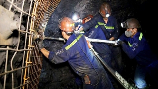 TKV nộp ngân sách 4,4 ngàn tỷ đồng trong 2 tháng đầu năm 2024