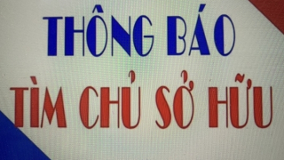 Tìm chủ sở hữu lô hàng gồm đồ chơi trẻ em các loại và thép tấm không gỉ