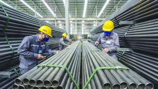 Chủ động ứng phó với các vụ kiện phòng vệ thương mại