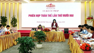 Phiên họp thẩm tra dự án Luật Phòng, chống mua bán người (sửa đổi)