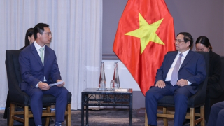 Hợp tác đầu tư để giá thành điện gió phải phù hợp