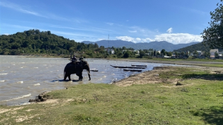 Rủ nhau ra hồ chơi, 2 cháu nhỏ bị đuối nước thương tâm