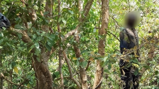 Phát hiện tử thi đang phân hủy mạnh trong tư thế treo cổ