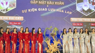 Lan “đột biến” đang tái... đột biến giá trên trời