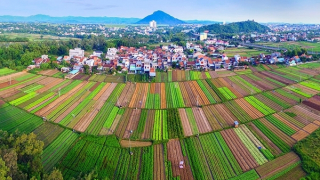 Bình yên làng nghề chuyên canh rau, hoa ở Tuy Hòa