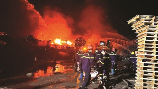 Lính cứu hỏa đất Cảng và những câu chuyện nghề đầu năm