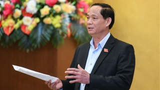 Đề nghị luật hoá vấn đề đấu giá biển số xe ô tô