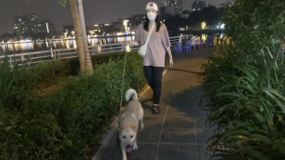 22 ca tử vong vì bệnh dại, Bộ Y tế khuyến cáo khẩn