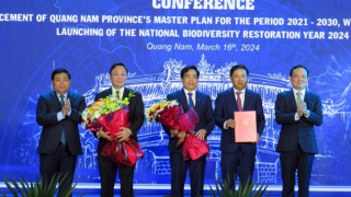 Quảng Nam cần triển khai quy hoạch tỉnh theo phương châm “tuân thủ, linh hoạt, đồng bộ, thấu hiểu”