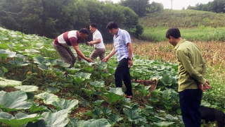 Về Tân An - “Mù lử gia tuờ”