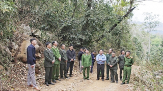 Sơn La: Chủ động phòng cháy, chữa cháy rừng