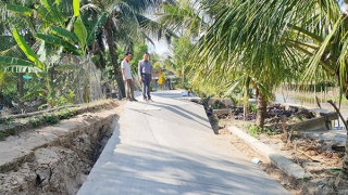 Khắc khoải mong mưa ở “rốn” hạn Cà Mau