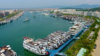 Quảng Ninh tạm dừng điều chỉnh giá dịch vụ qua các cảng tàu khách quốc tế