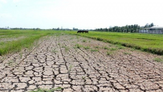 Công bố Quy hoạch phòng, chống thiên tai thích ứng với biến đổi khí hậu