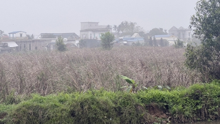 Bài 1: Không ly hương vẫn ly nông