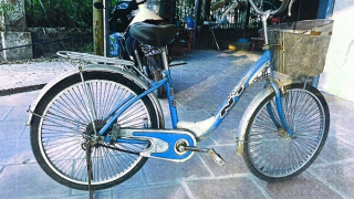 Tìm chủ sở hữu