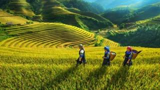 Nền nhiệt ở các tỉnh thành phía Bắc tăng cao, Tây Bắc Bộ trên 36 độ