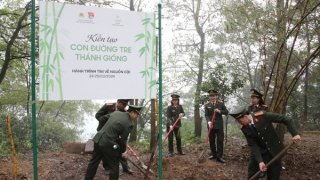 Kiến tạo con đường tre Thánh Gióng - hành trình thế hệ trẻ tìm về nguồn cội