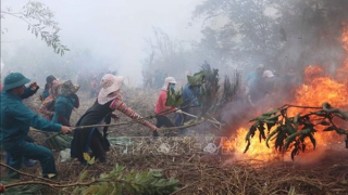 Phương châm “3 cùng” phòng, chống cháy rừng vào mùa khô ở Tây Nguyên