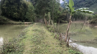 Nỗ lực hỗ trợ các hộ dân thiệt hại do thủy điện Pác Cáp tích nước gây ngập úng