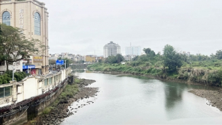 Cảm hứng “Từ Trà Cổ rừng dương đến Cà Mau rừng đước”