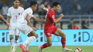 Sau Troussier là gì?