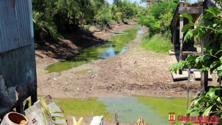 Sụt lún, sạt lở diễn biến phức tạp tại vùng đệm ở U Minh Thượng