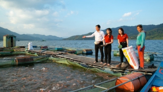 Agribank tiếp tục triển khai 8.000 tỷ đồng vốn tín dụng ưu đãi dành cho lĩnh vực lâm, thủy sản