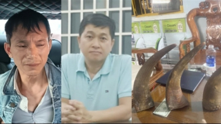 Bắt nhóm lừa đảo bán thiên thạch và sừng tê giác giả