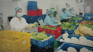 Kêu gọi đầu tư vào vùng nguyên liệu nông sản