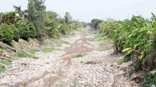 Công bố tình huống khẩn cấp về thiên tai xâm nhập mặn tại Tiền Giang