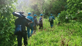 Công an khuyến cáo người dân không vào rừng Đèo Cả tìm trầm vì lời đồn “trúng kỳ nam, bán 10 tỷ”