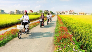 Kiểm toán nhà nước chỉ ra nhiều chế độ chính sách “gây khó” trong việc phát triển nông thôn mới