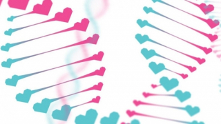 Bùng nổ tìm bạn đời qua xét nghiệm ADN nước bọt