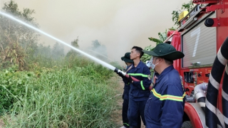 Không để cháy lan, cháy lớn tại khu vực Nông trường 402