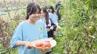 Du lịch chuyển đổi xanh để phát triển bền vững