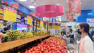 Liên kết vùng tạo sức bật tăng trưởng xuất khẩu vùng Trung du và miền núi phía Bắc