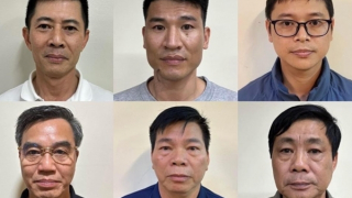 Bắt Chủ tịch Tập đoàn Thuận An cùng đồng phạm